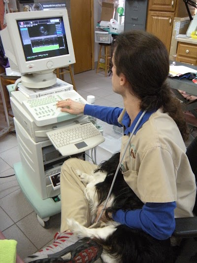 Kingston Animal Hospital, PC