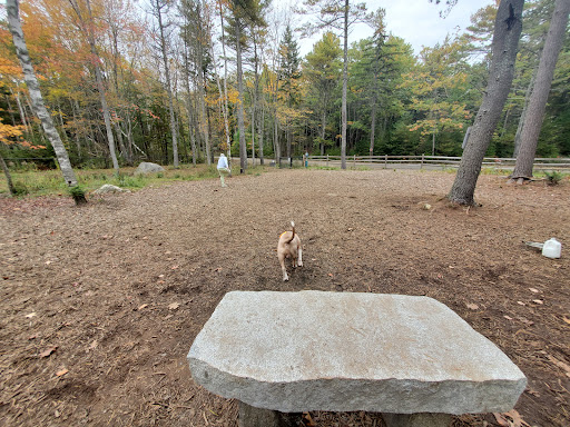 Meadow Woods Preserve Off Leash Dog Area - Thumbnail