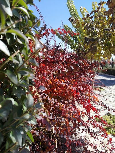 Photos of Citizen Park