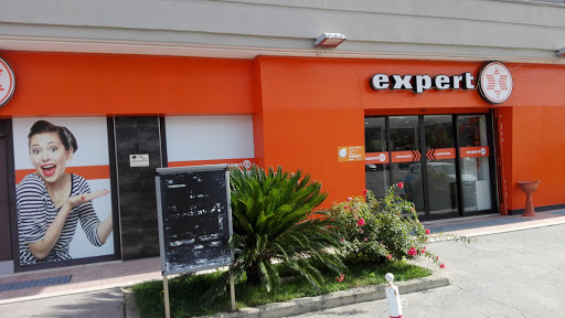 EXPERT PARENTE - Visual