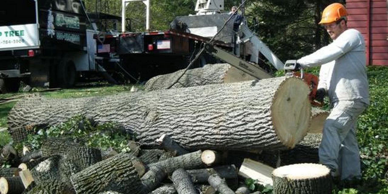 GP Tree Service