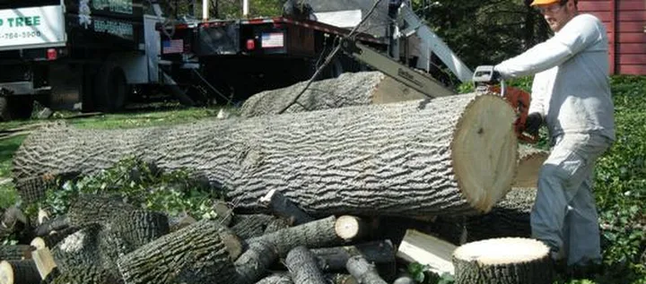 GP Tree Service