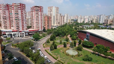 Photos of Dream world