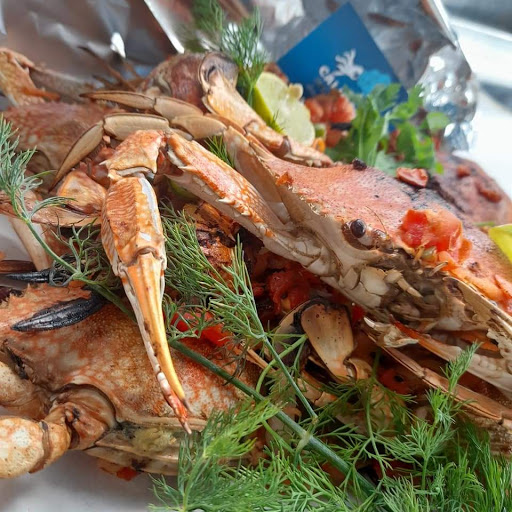 مطعم أسماك كلماري الألفي Calimari Elalfy Sea food Restaurant