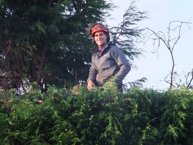 Alan Bethell Ltd Tree surgeons Holmes Chapel