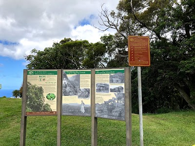 Tantalus Lookout - Puu Ualakaa State Park