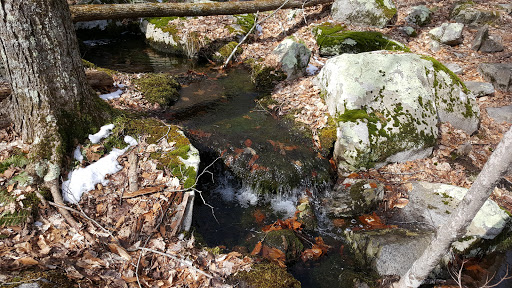 Jewett Preserve