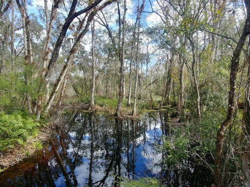 Brooker Creek Preserve & Environmental Education Center - Thumbnail