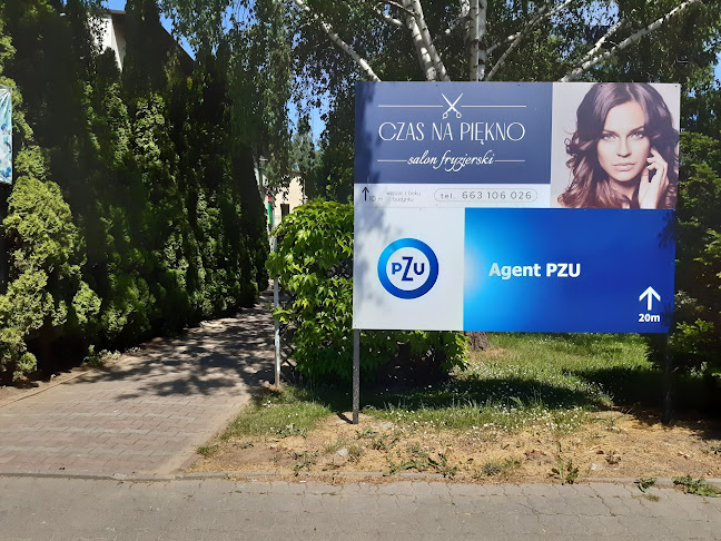PZU Ubezpieczenia Rzeszów - Agent Janusz Malinowski - Rzeszów