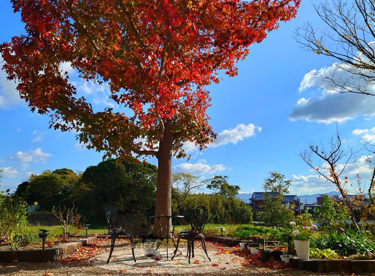 アラジン デザートカフェ