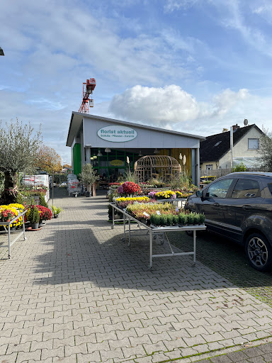 Florist Aktuell - Thumbnail