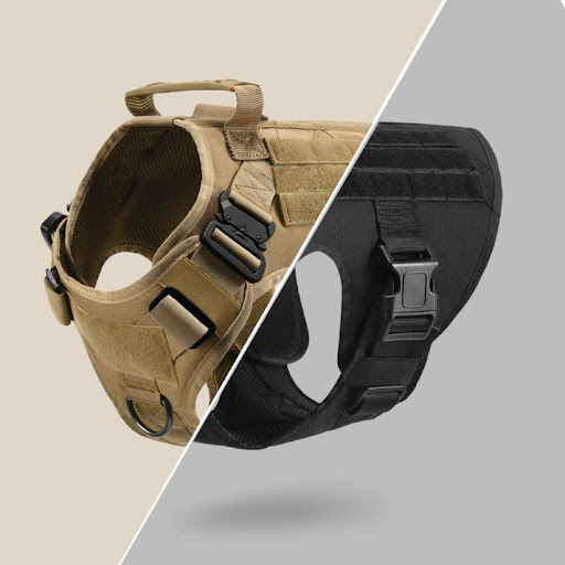 Romp Gear