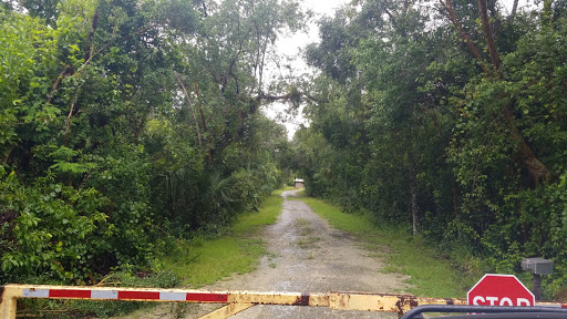 Pinecrest Group Campground, Big Cypress National Preserve Gallery - United States