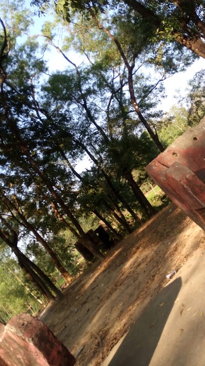 Photos of Lohagara Forest Office
