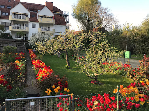 Bach Schwalbach - Visual