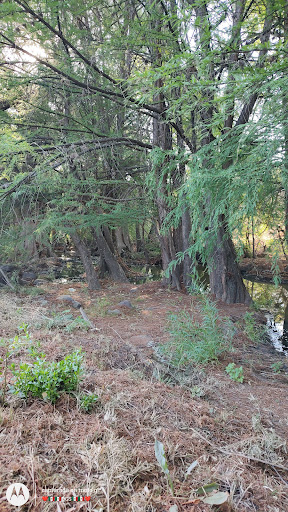 River San Miguel - Thumbnail