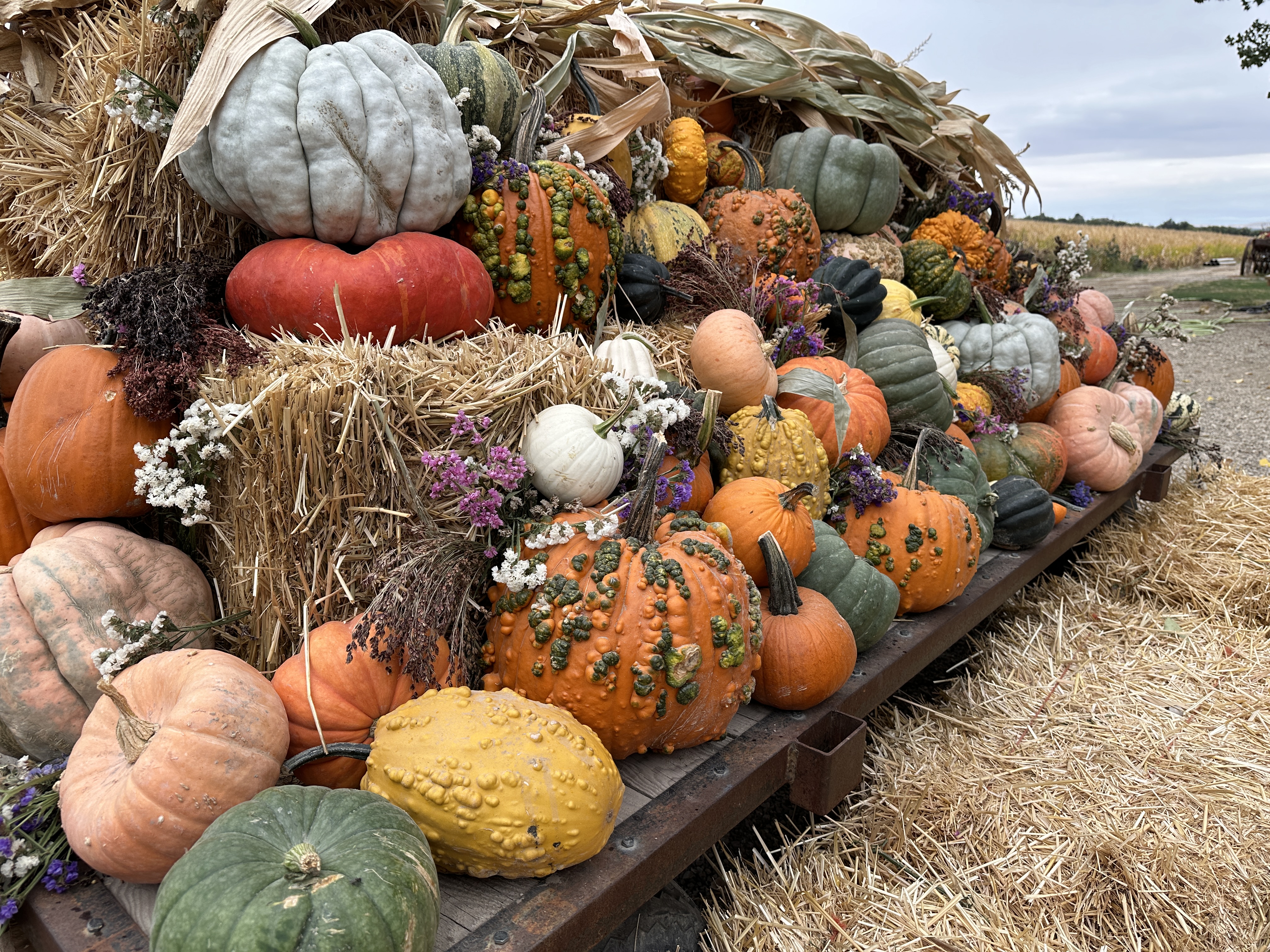The Potted Porch