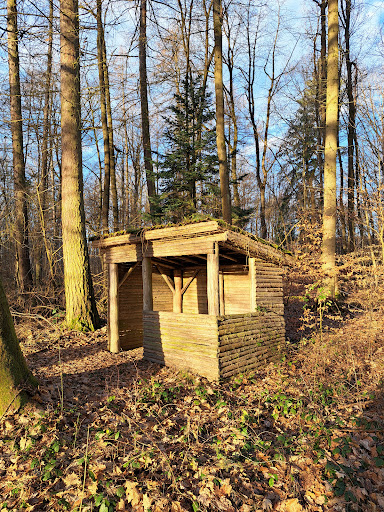 Forsthaus Steinboß - Thumbnail