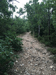 Photo n°3 de Luberon Tour à Saignon (Agence de visites touristiques en bus)