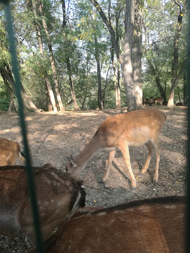 Parrocchia Di Montebello - Rupoli - Thumbnail