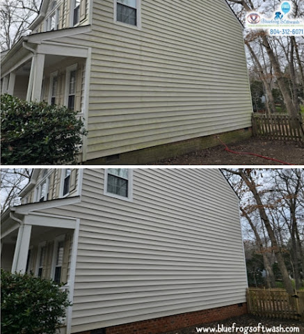 Gallery of Bluefrog Softwash located in  - Best Pressure Washing Service near me.