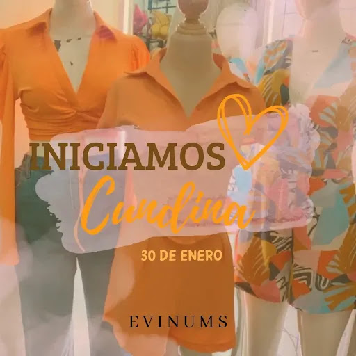 EVINUMS STYLE - Visual