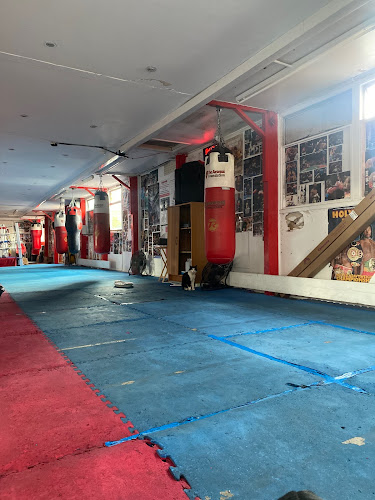 islingtonboxingclub.org