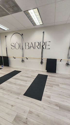 SŌL BARRE - Visual