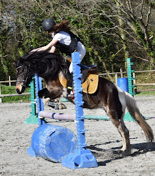 Photo n°27 de Lannion Equitation à Lannion (Centre équestre)