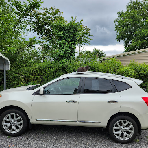 Ringgold Auto Broker LLC