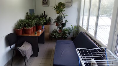 Photos of Hotel Mariya