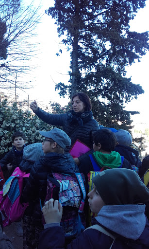 Guida turistica dell'Umbria Cinzia Conte - Dove le pietre raccontano - Thumbnail