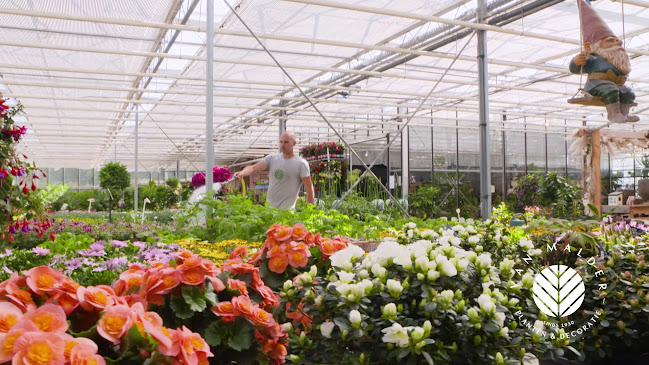 Beoordelingen van Plantencentrum Van Malder in Halle - Tuincentrum