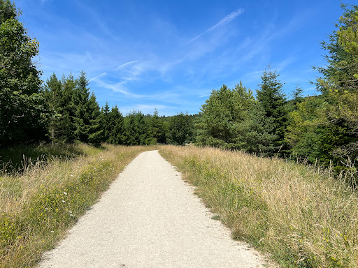 CHILTERNS NATURE - THE HALE END, WENDOVER WOODS - Thumbnail