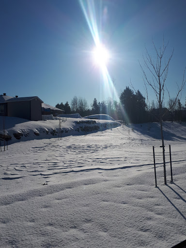 Roger-Gingues Park - Thumbnail