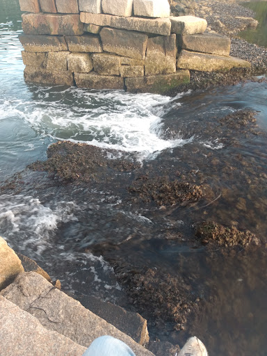 The Causeway - Thumbnail
