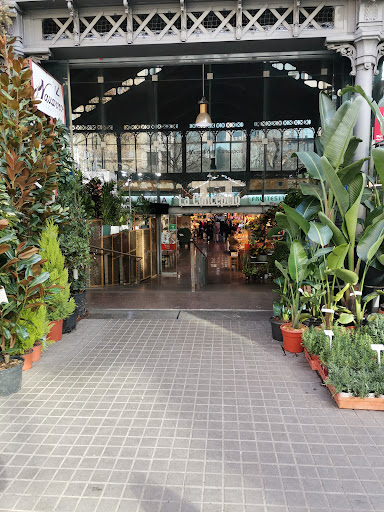 Flors Navarro Gallery - Spain