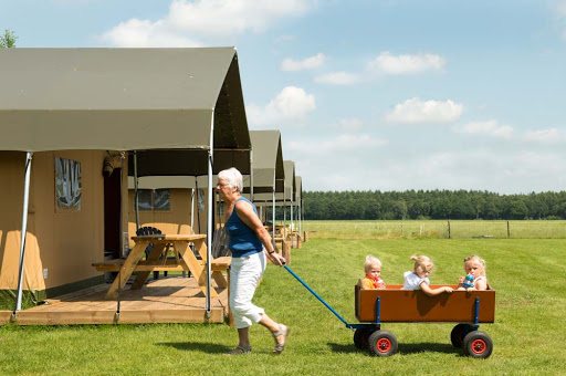 Farm camping 't Looveld Gallery - Netherlands