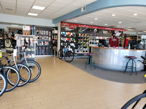 Vitesse Cycle Shop Gallery - United States