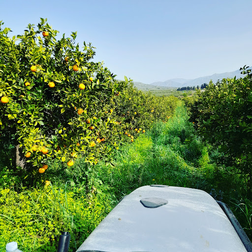 Azienda agricola Colletti Gallery - Italy