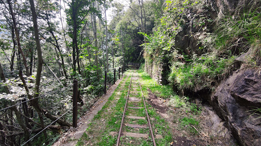 Tracciolino - Visual