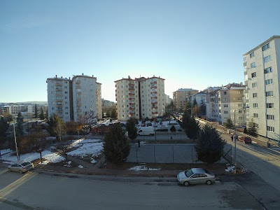 Basketbol Sahası