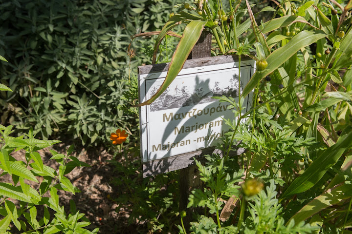 Eleonas Country Village by null