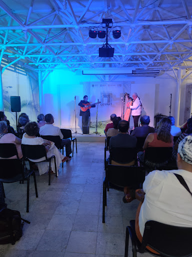 Veracruz Center for the Arts Hugo Argüelles