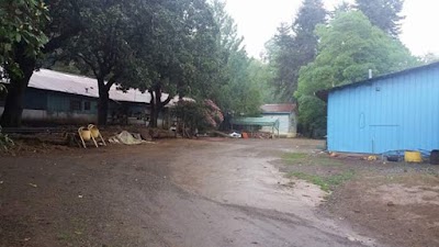 Photos of Parque Botanico El Cisne