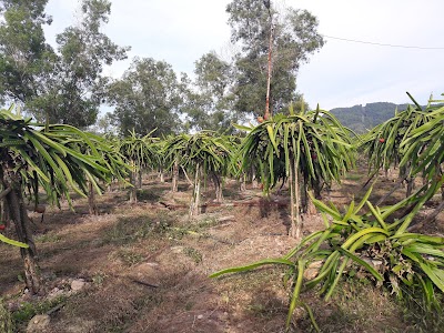 Photos of Taman Satwa Kandi