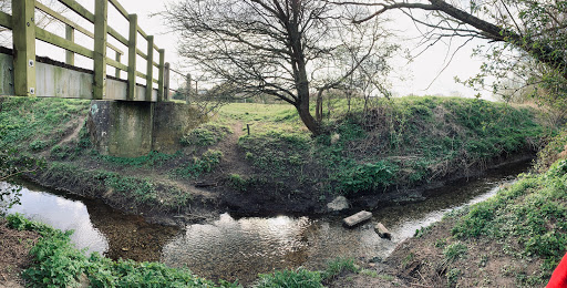 Bourn Surgery - Visual