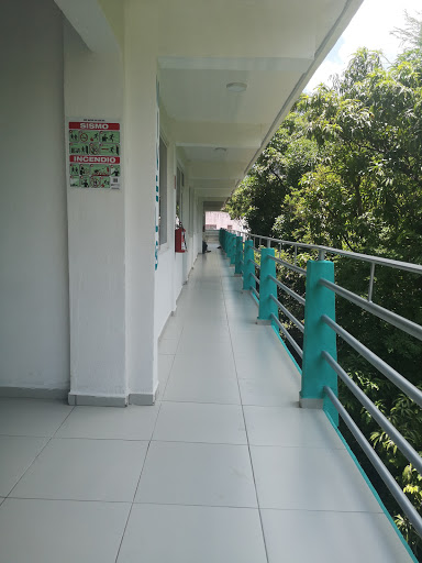 Instituto Alfonso Reyes - Thumbnail