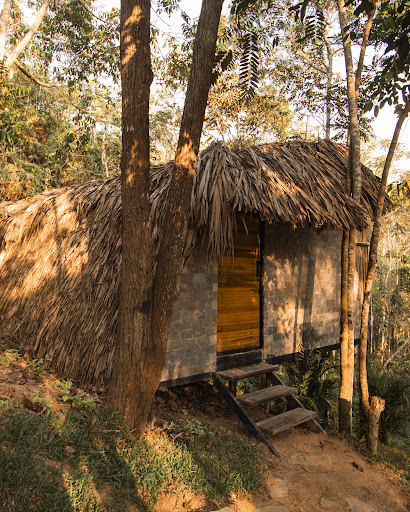 Ecolodge Palonegro