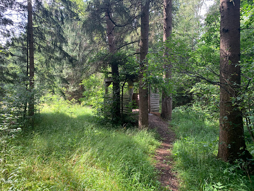 Tierbeobachtungskanzel Gallery - Germany